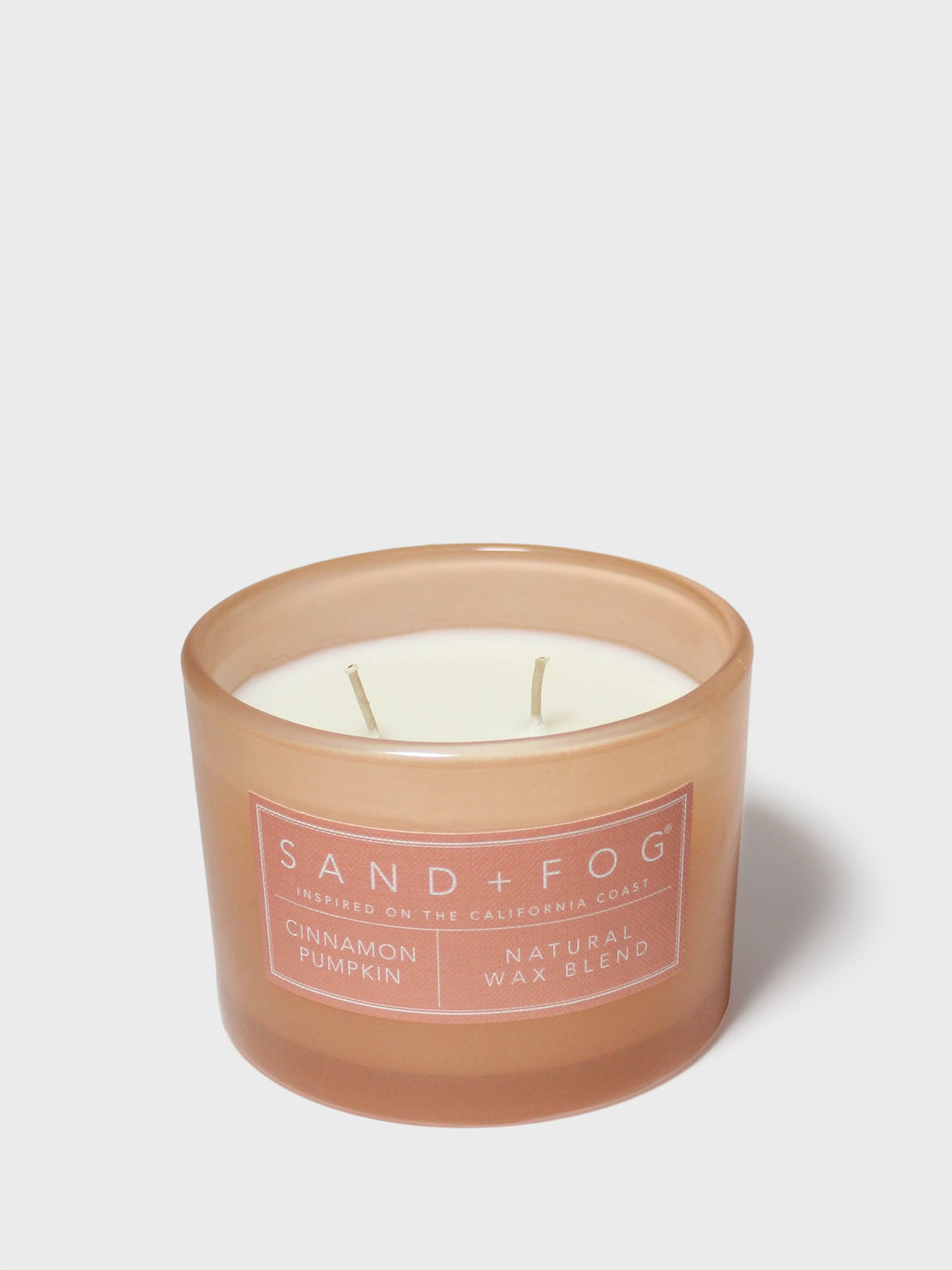 Cozy Cinnamon Pumpkin 12 oz scented candle