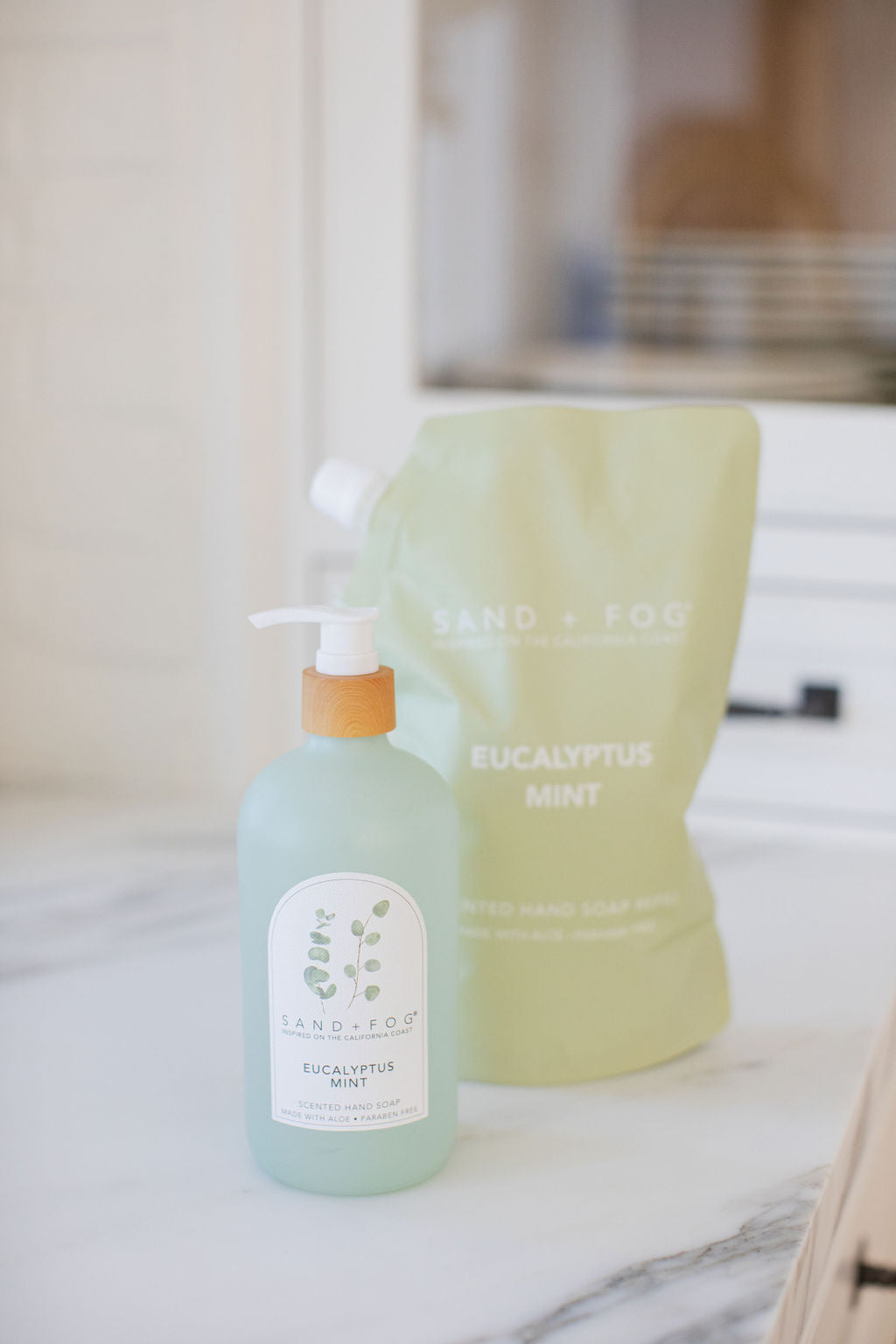 Refreshing Eucalyptus Mint 34 oz Liquid Hand Soap Refill Bag