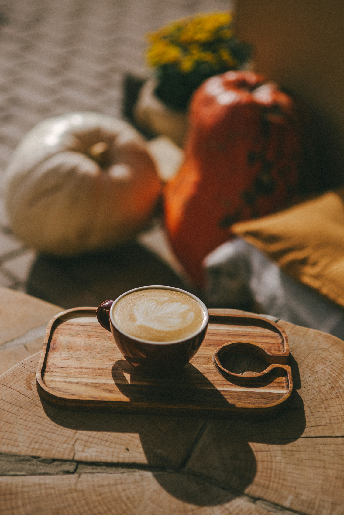 Cozy Sand + Paws Pumpkin Soy Latte 12 oz scented candle