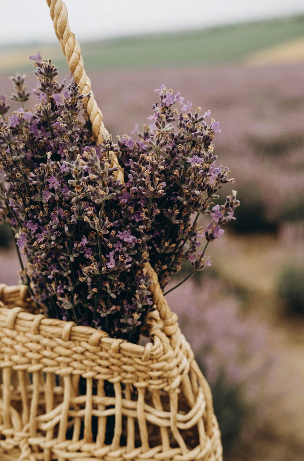 Invigorating Cedar & Lavender 100 ml Room Spray