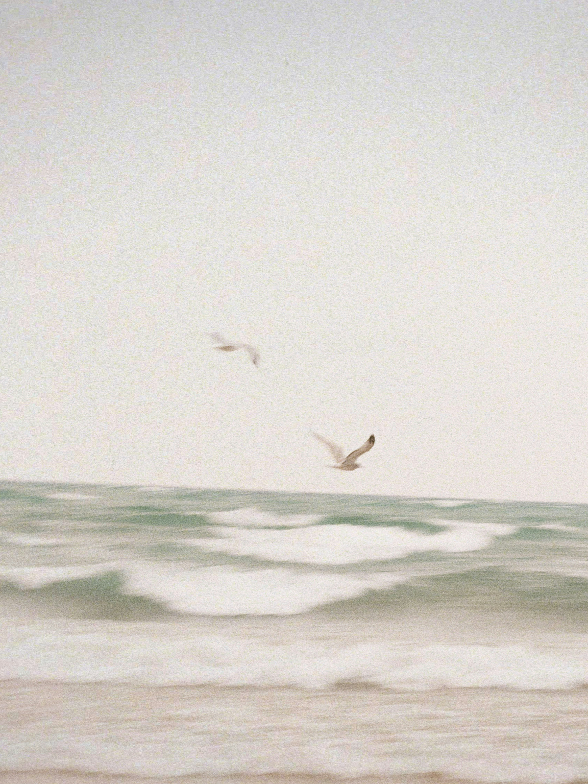 Aromatic Clean Waves 100 ml Reed Diffuser
