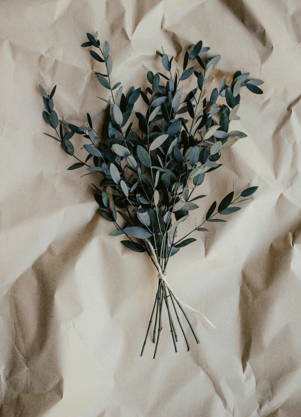Invigorating Eucalyptus 100 ml Room Spray